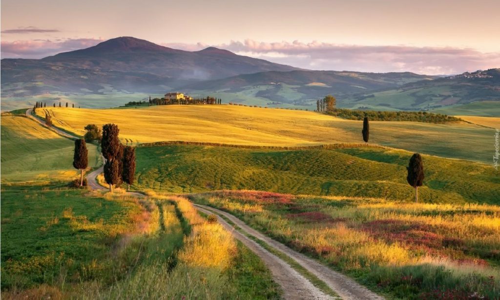 self drive tours tuscany italy